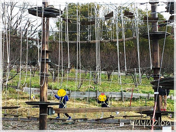 「ハーベストの丘」アスレチックのローグラウンド
