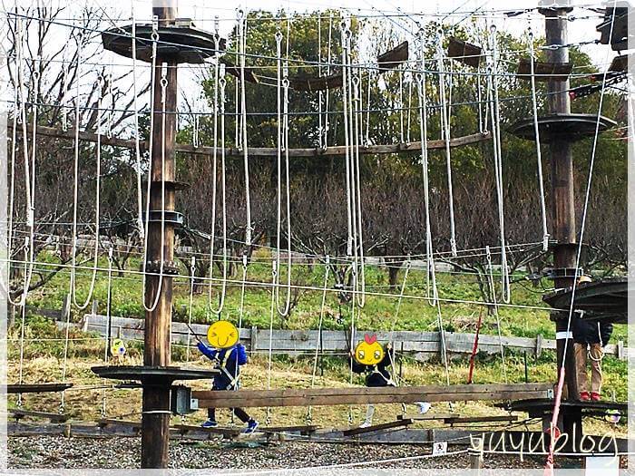 「ハーベストの丘」アスレチックのローグラウンド