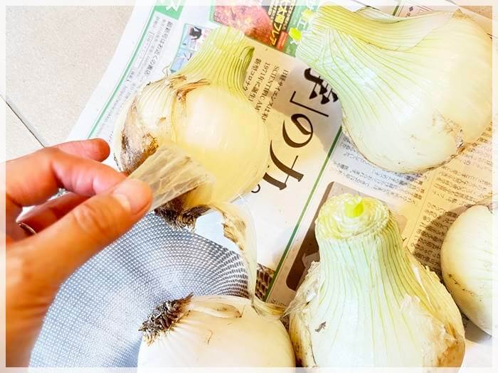 新玉ねぎの保存方法はコレ 長持ちさせるコツと美味しい新玉レシピ ゆうゆうブログ