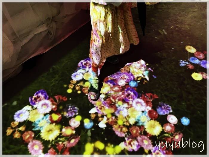 ハウステンボス「フラワーファンタジア」の床の上に花が咲く様子