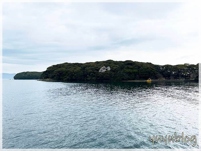 「ジェラシックアイランド」の島