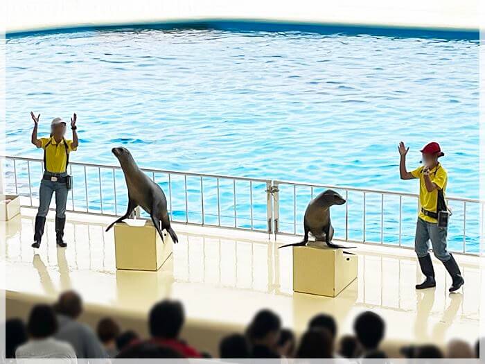 海の中道の水族館「マリンワールド」のアシカショー