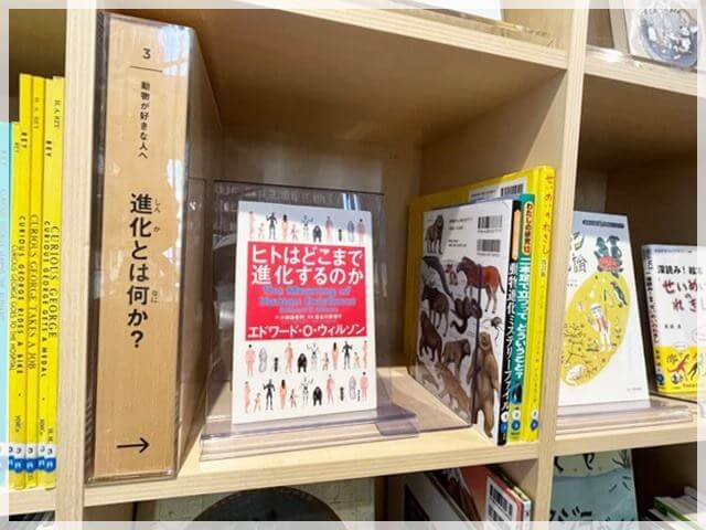 「子ども本の森」の「動物」をテーマにした排架方法③