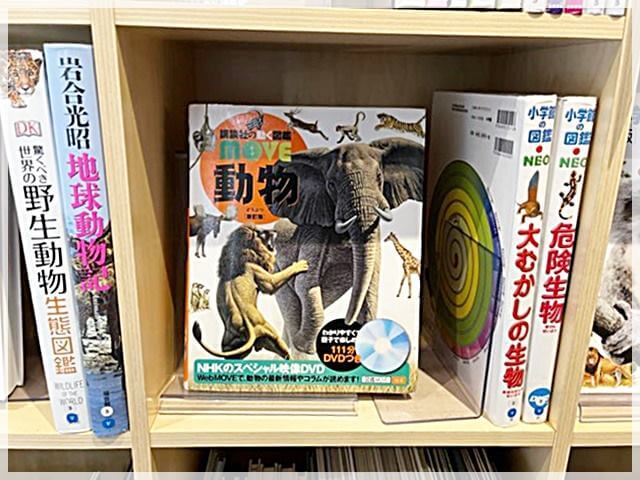 「子ども本の森」の「動物が好きな人」への排架方法②図鑑や写真集