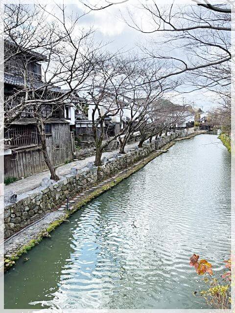 近江八幡の水郷めぐり