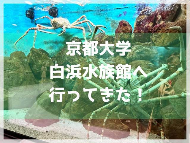 京都大学白浜水族館へ行ってきた！