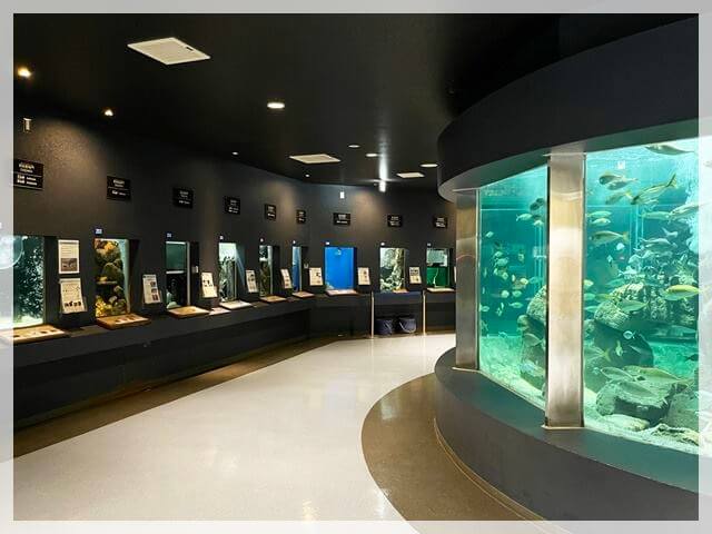 京都大学白浜水族館の巨大水槽