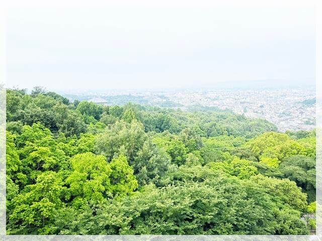 アンドホテルから見える若草山と奈良の街
