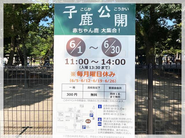 奈良公園にある鹿苑の小鹿公開期間と時間