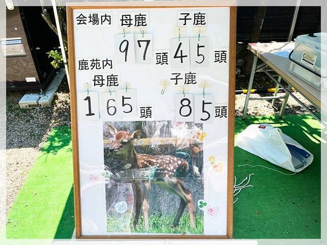 奈良公園の鹿苑で公開されている鹿の数