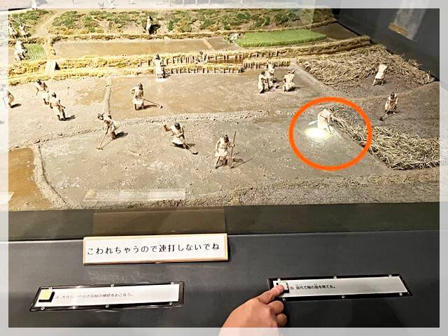 弥生文化博物館の米作りのジオラマは光る
