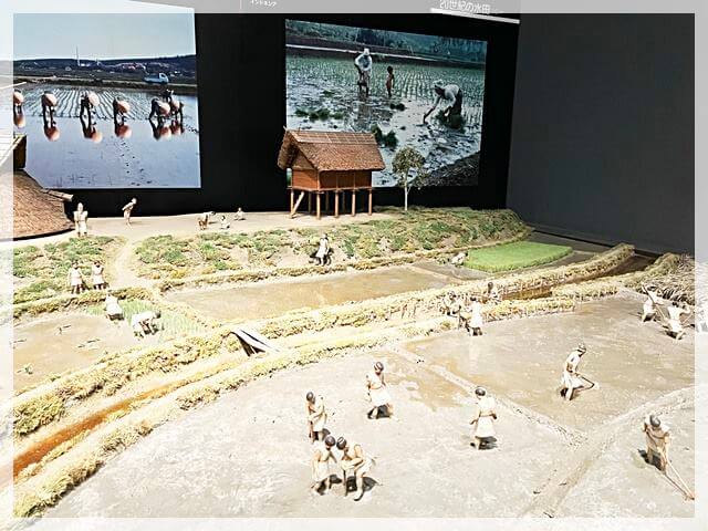 弥生文化博物館の米作りのジオラマ