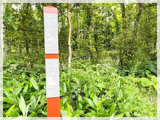 ザ・タワーから雲海テラスのゴンドラまでの道