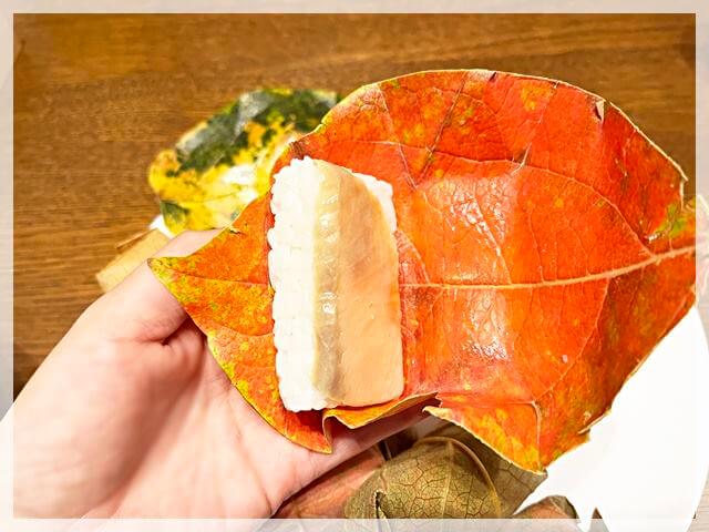 「柿の葉寿司のたなか」の季節限定紅葉柿の葉寿司の紅い葉っぱ