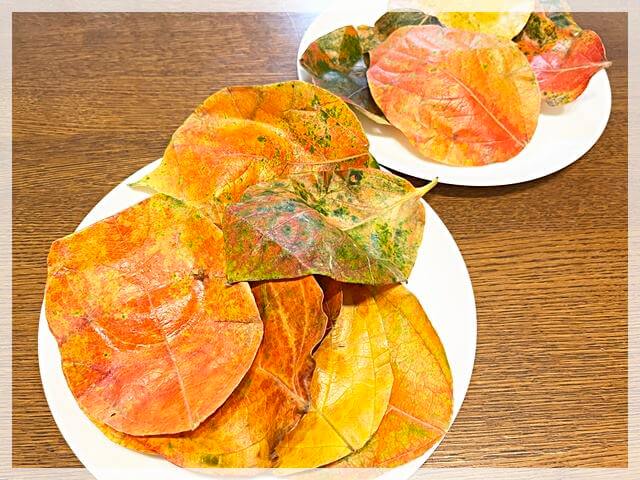 「柿の葉寿司のたなか」の季節限定紅葉柿の葉寿司を食べたあとに残った葉っぱの美しさ