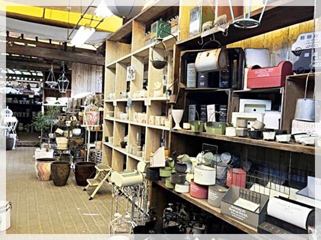 堺「ロベリア」で販売されている鉢①