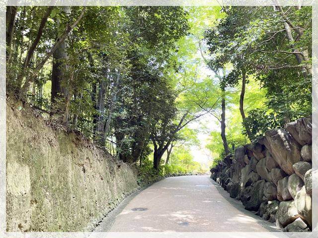 大山崎山荘美術館へと続く道