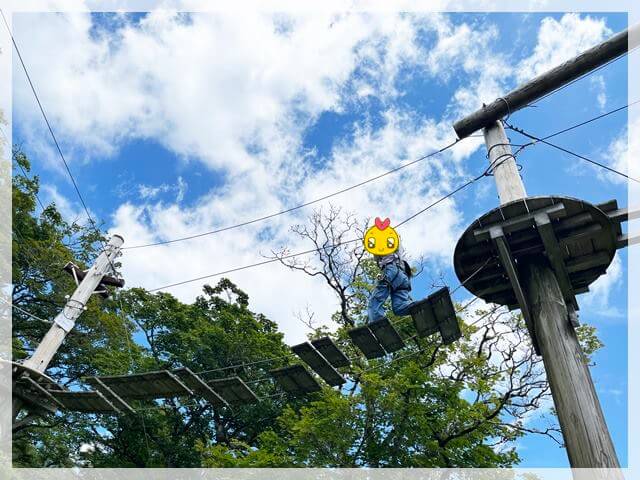 琵琶湖バレイのアスレチック「スカイウォーカー」で遊ぶ子ども 