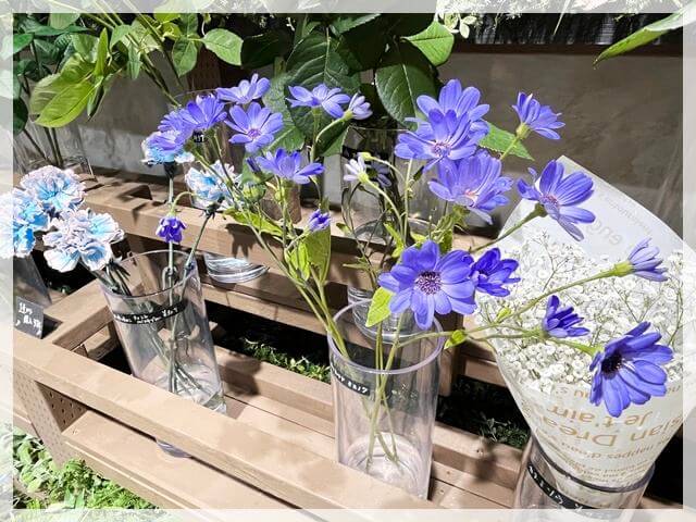グラングリーン大阪「ガーデンズ」の切り花②