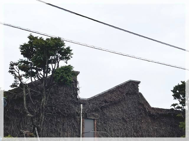 倉敷アイビースクエアの工場を思い出させるノコギリ屋根