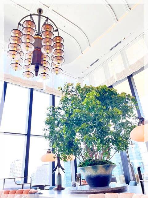 ウォルドーフ・アストリアの「ピーコック・アレー」の店内。大きな観葉植物が美しい