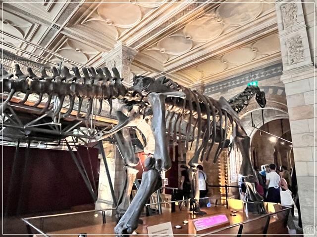 ロンドン自然史博物館ブルーゾーンで見れる恐竜のレプリカ