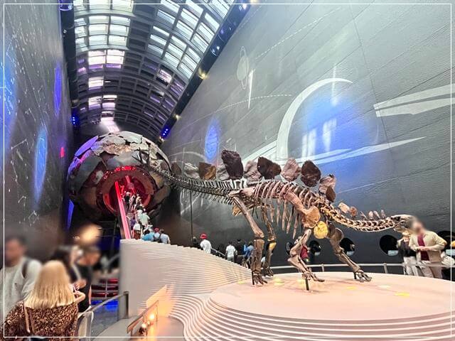 ロンドン自然史博物館のレッドゾーンに続くエレベーター