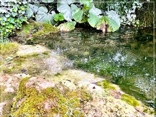 イギリスのナレスボロにあるマザーシップトンの滝。