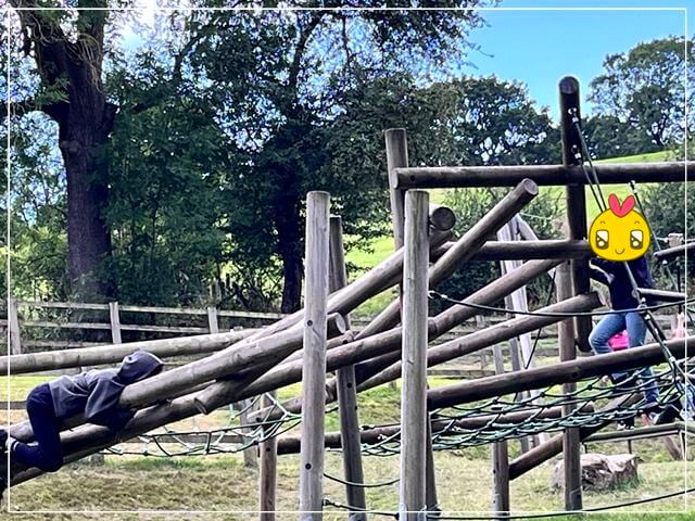 マザーシップトンの洞窟の森にある公園のアスレチック