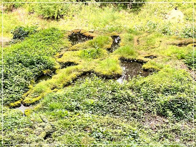イギリスのナレスボロにあるマザーシップトンの滝の上の湧き水。
