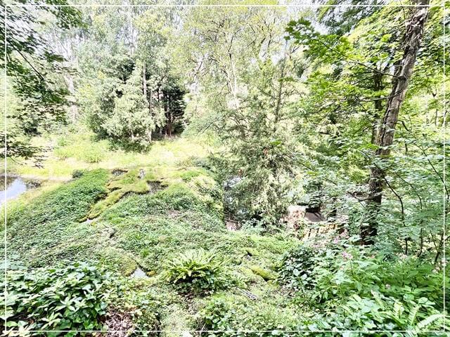 イギリスのナレスボロにあるマザーシップトンの洞窟がある森。上からみた滝