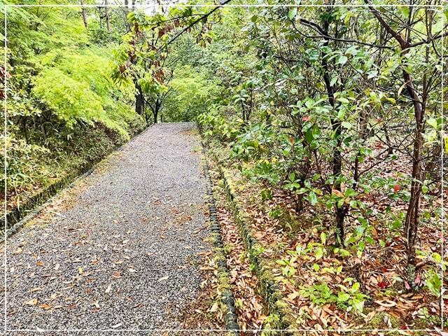 滋賀県MIHO MUSEUMの遊歩道