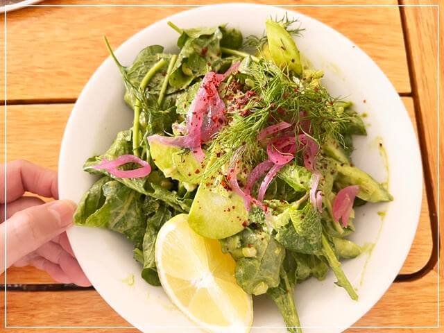 シドニーオペラハウスの「オペラバー」で食べたサラダ