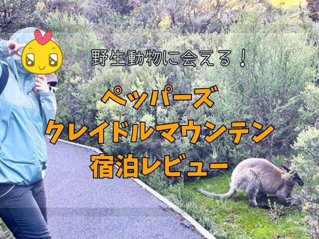 【タスマニア】ペッパーズクレイドルマウンテンロッジレビュー!野生動物に出会える最高の宿