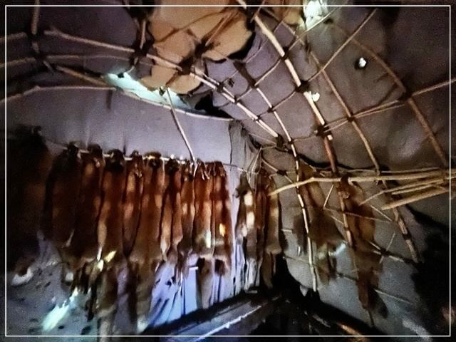 ヘルシンキ自然史博物館の昔の人の居住（内部）