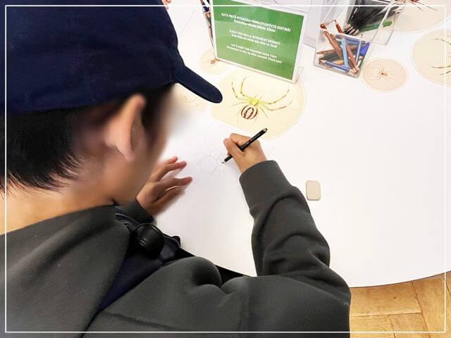 ヘルシンキ自然史博物館のお絵描きコーナー