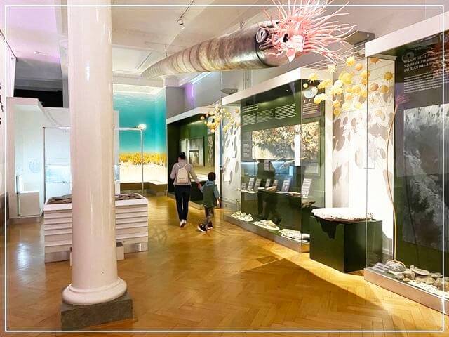 ヘルシンキ自然史博物館の館内の様子